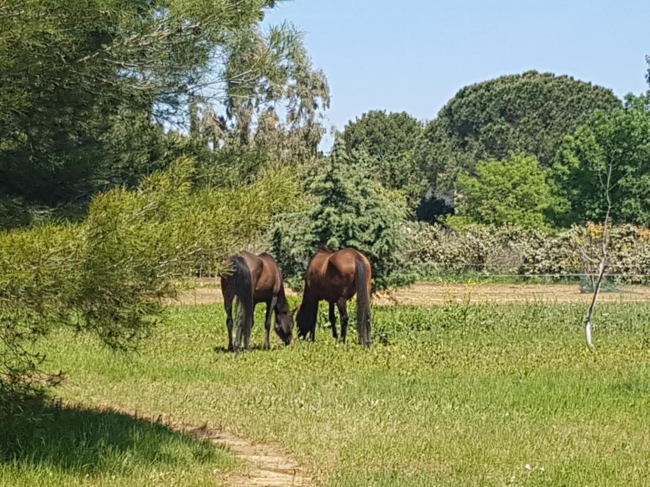 Analaya Villa Vias Eksteriør billede